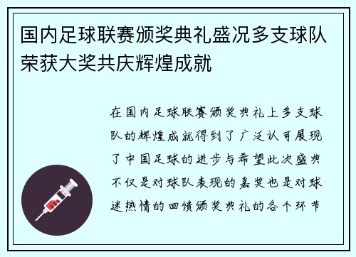 国内足球联赛颁奖典礼盛况多支球队荣获大奖共庆辉煌成就