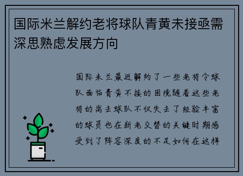 国际米兰解约老将球队青黄未接亟需深思熟虑发展方向