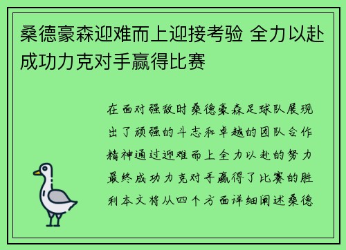 桑德豪森迎难而上迎接考验 全力以赴成功力克对手赢得比赛