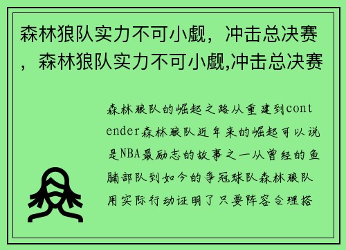 森林狼队实力不可小觑，冲击总决赛，森林狼队实力不可小觑,冲击总决赛球员